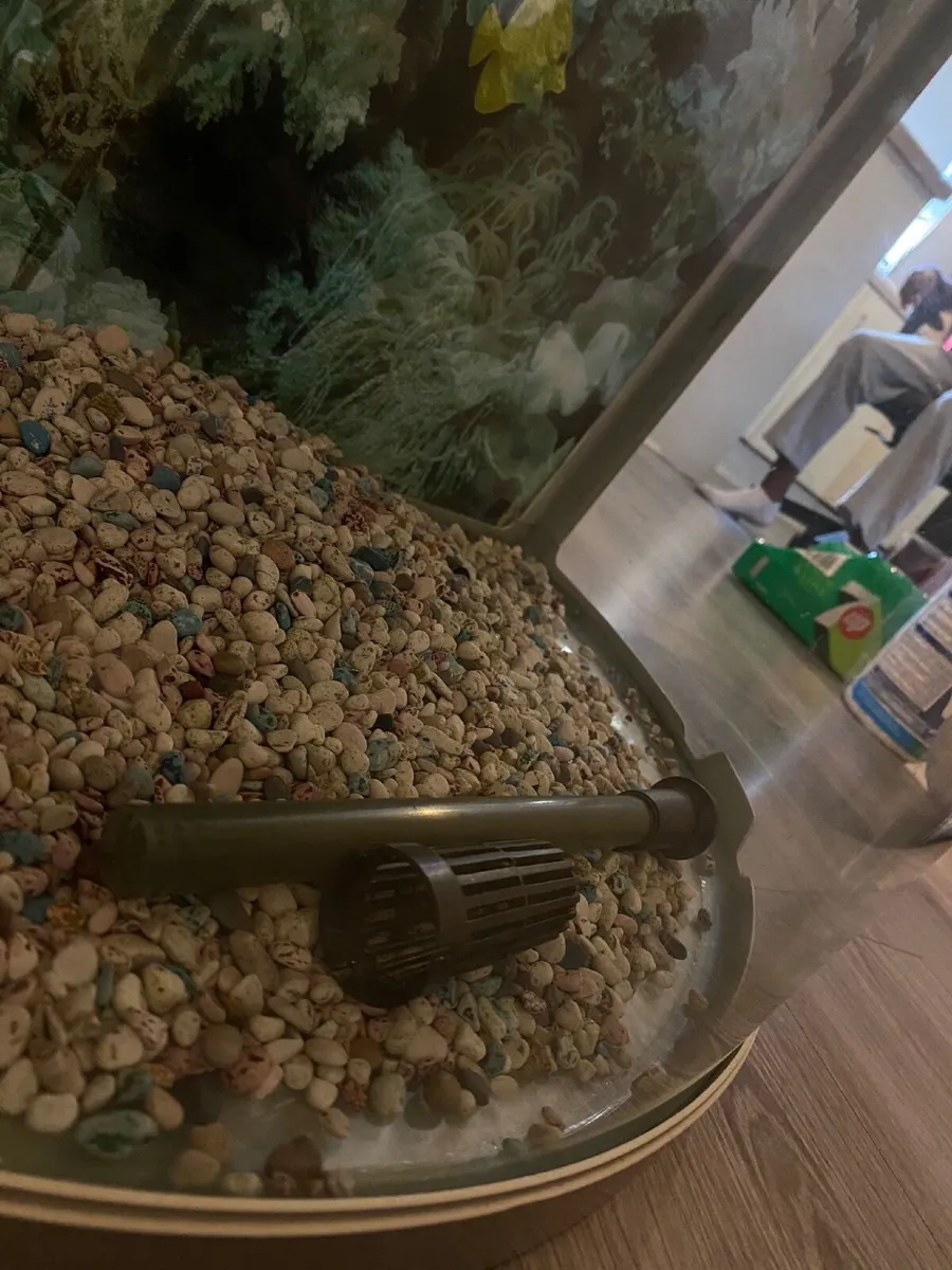 Aquarium - Image 3