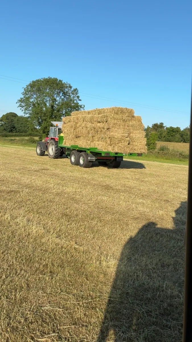 Hay - Image 1