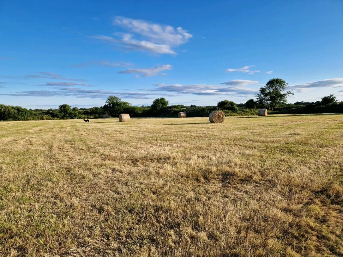 Hay bales - Image 3