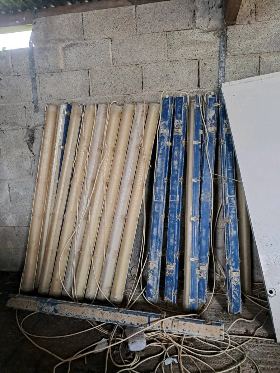 Fluorescent lights - Image 1