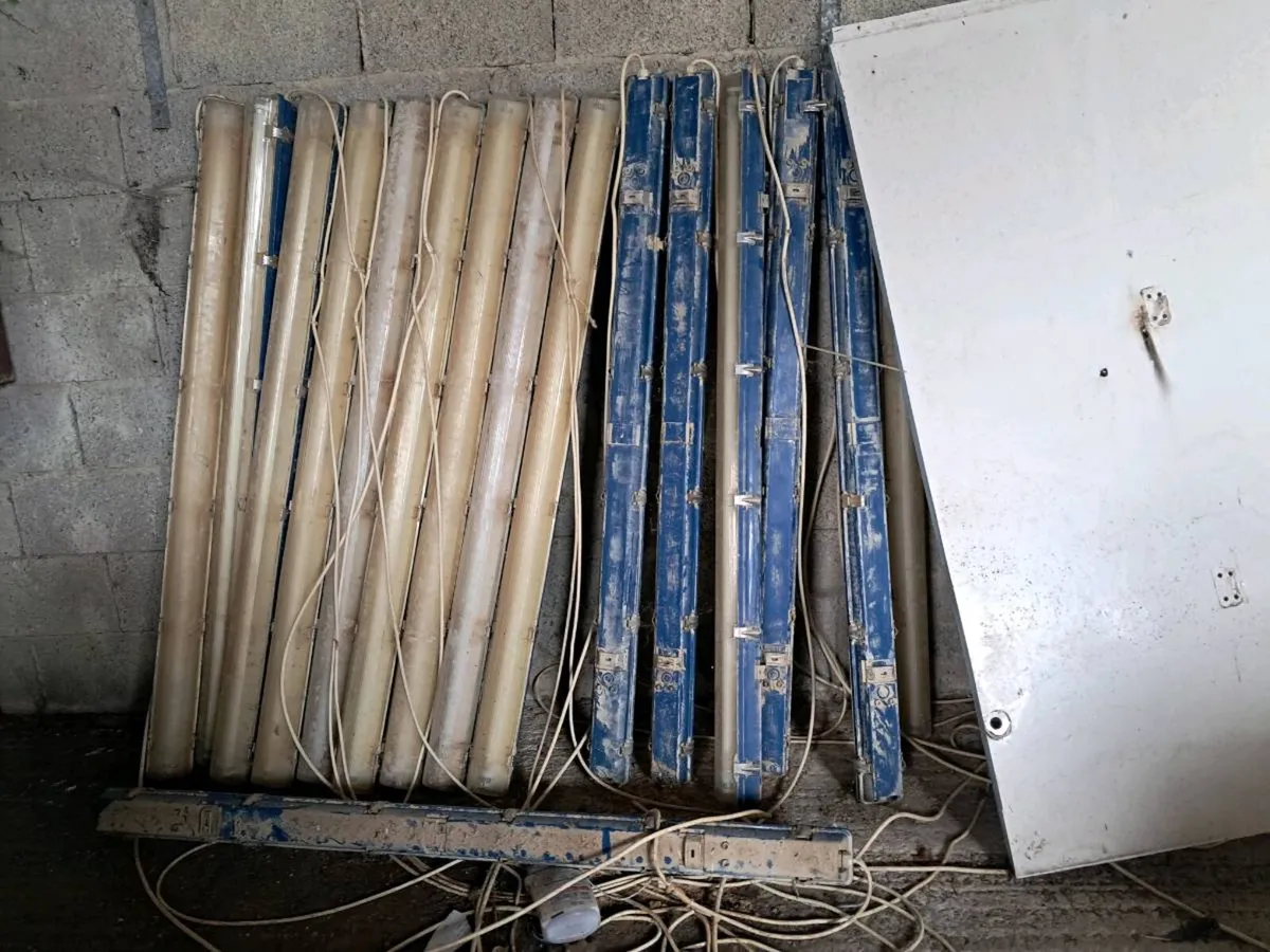 Fluorescent lights - Image 2