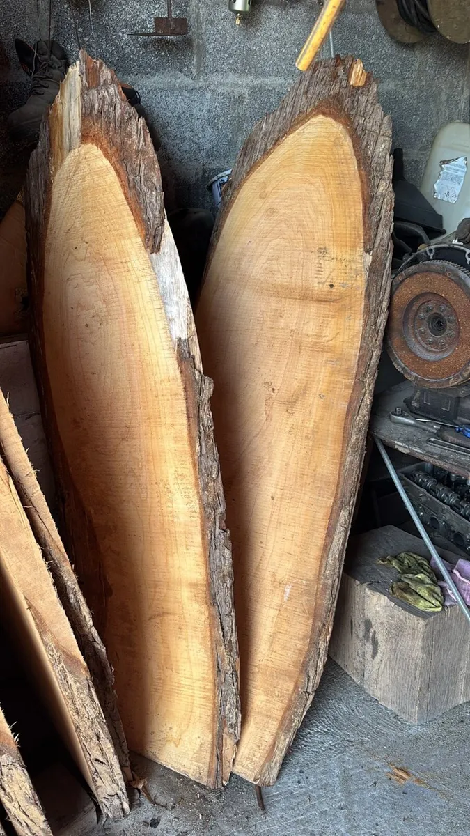 Monterey cypress and spalted beech - Image 2