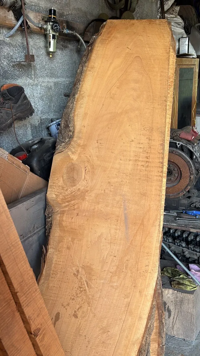 Monterey cypress and spalted beech - Image 1