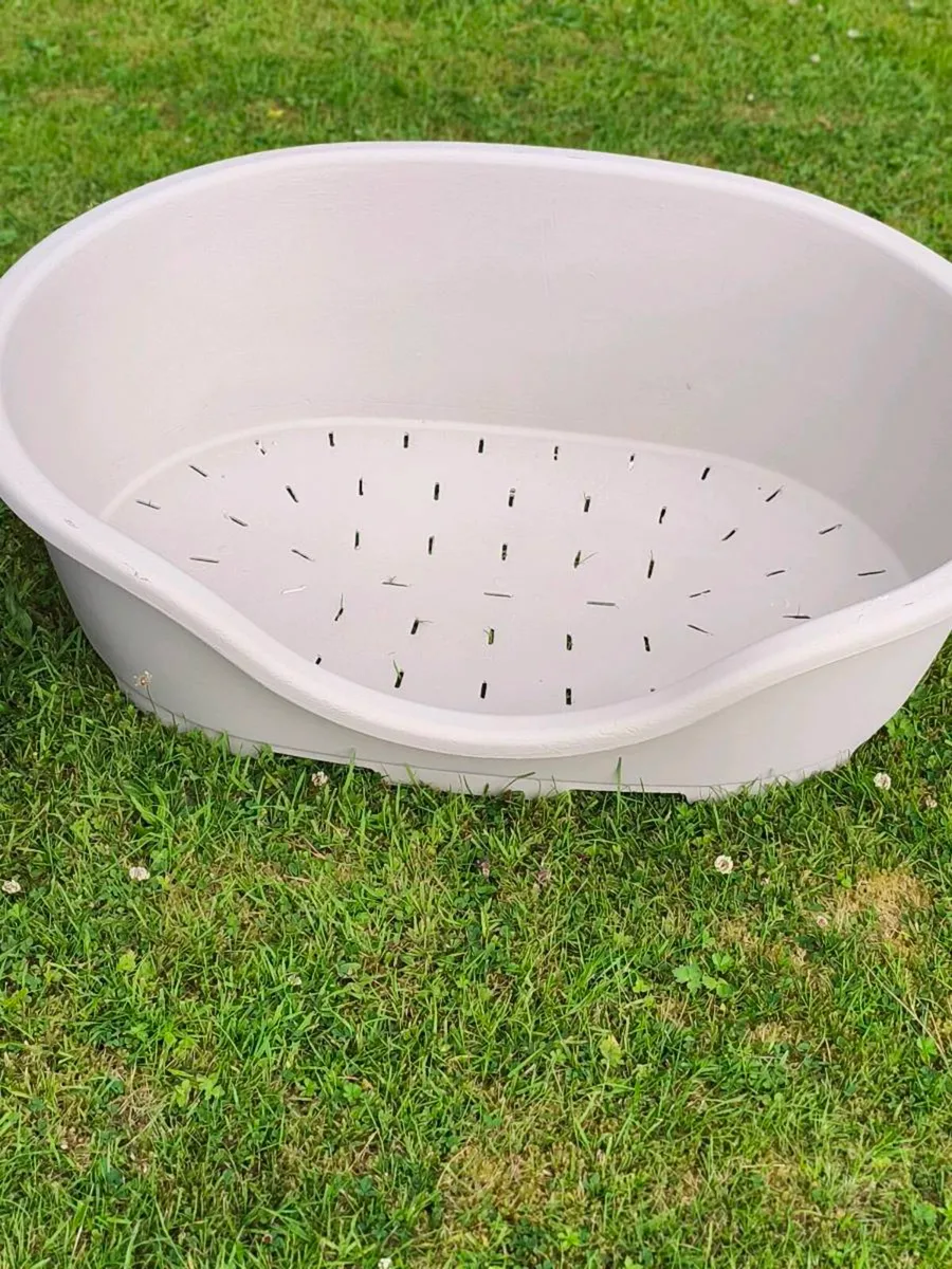 2 very large beds, like new ,30for 2 - Image 2