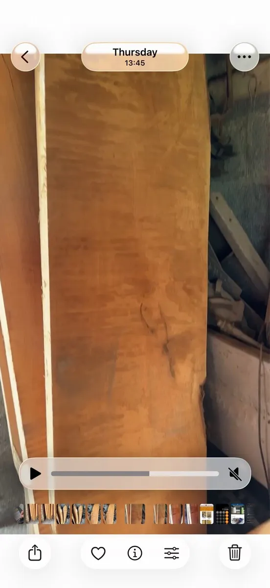 Monterey cypress and spalted beech - Image 3