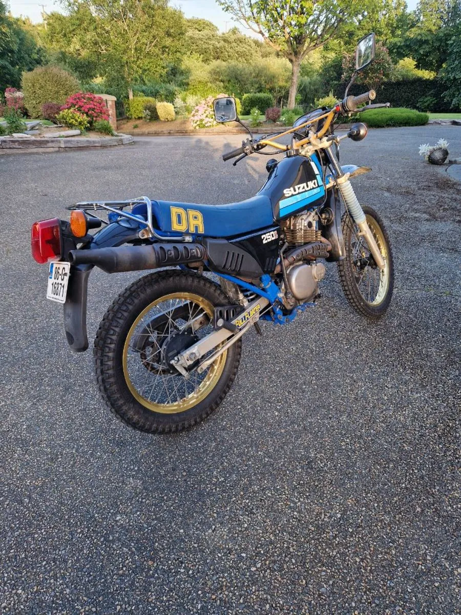 Suzuki - Image 2