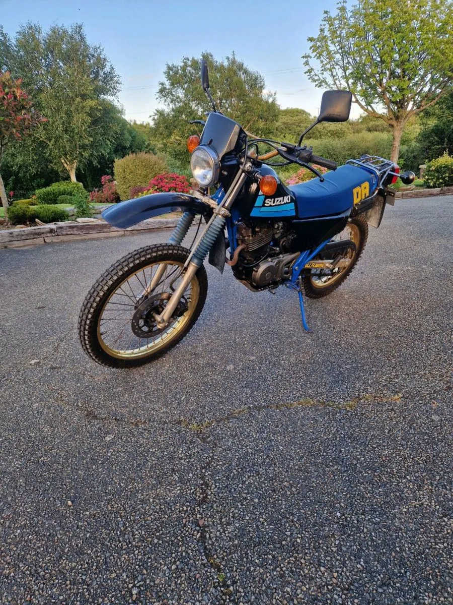 Suzuki - Image 1