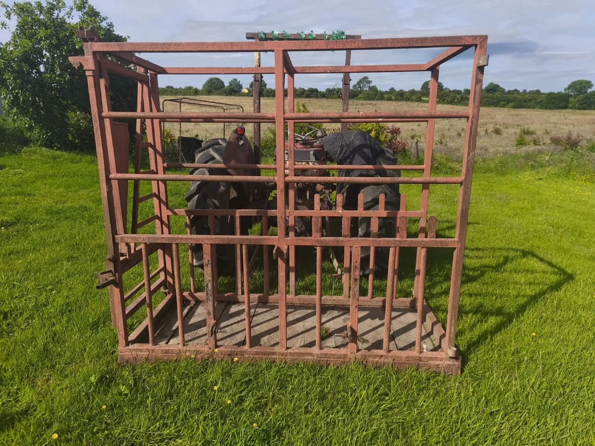 Mobile Cattle Crush - Image 1