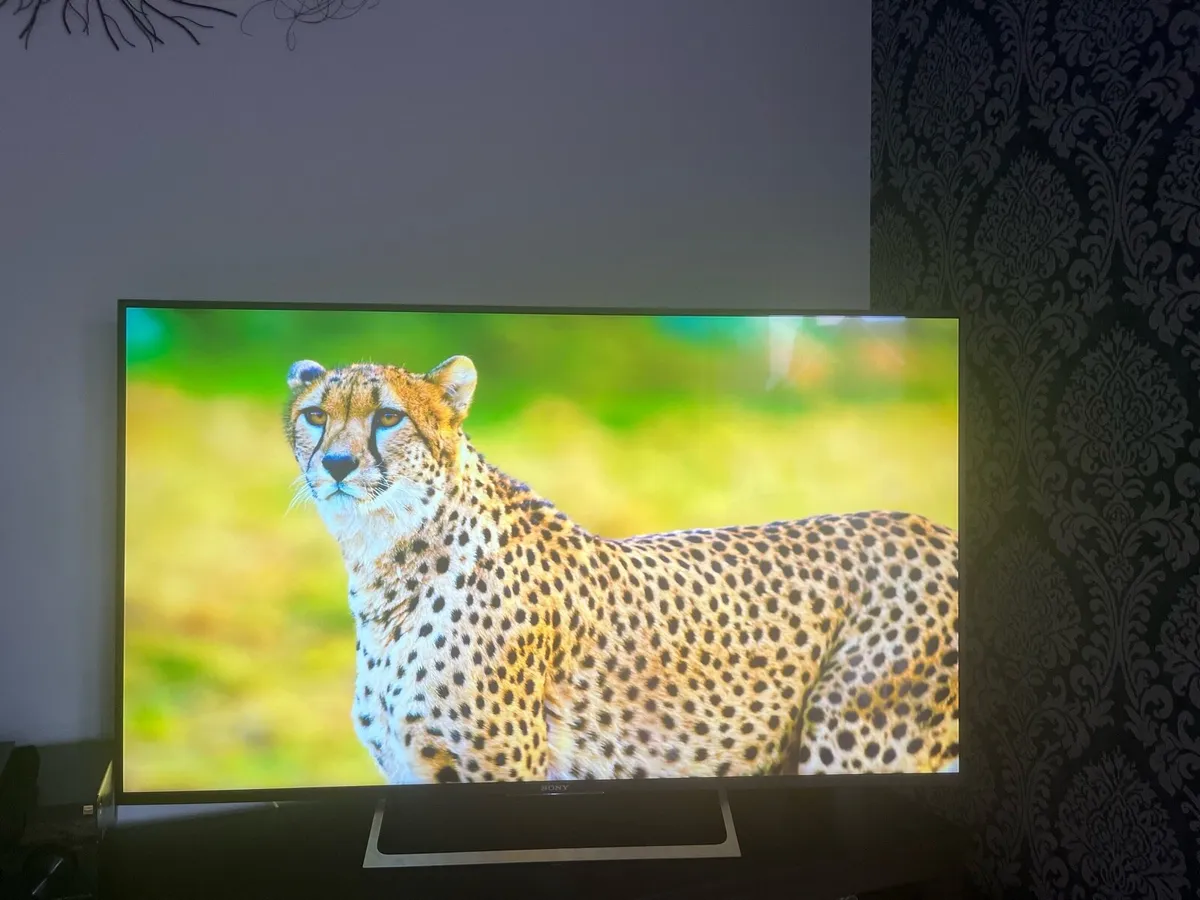 Sony TV - Image 1