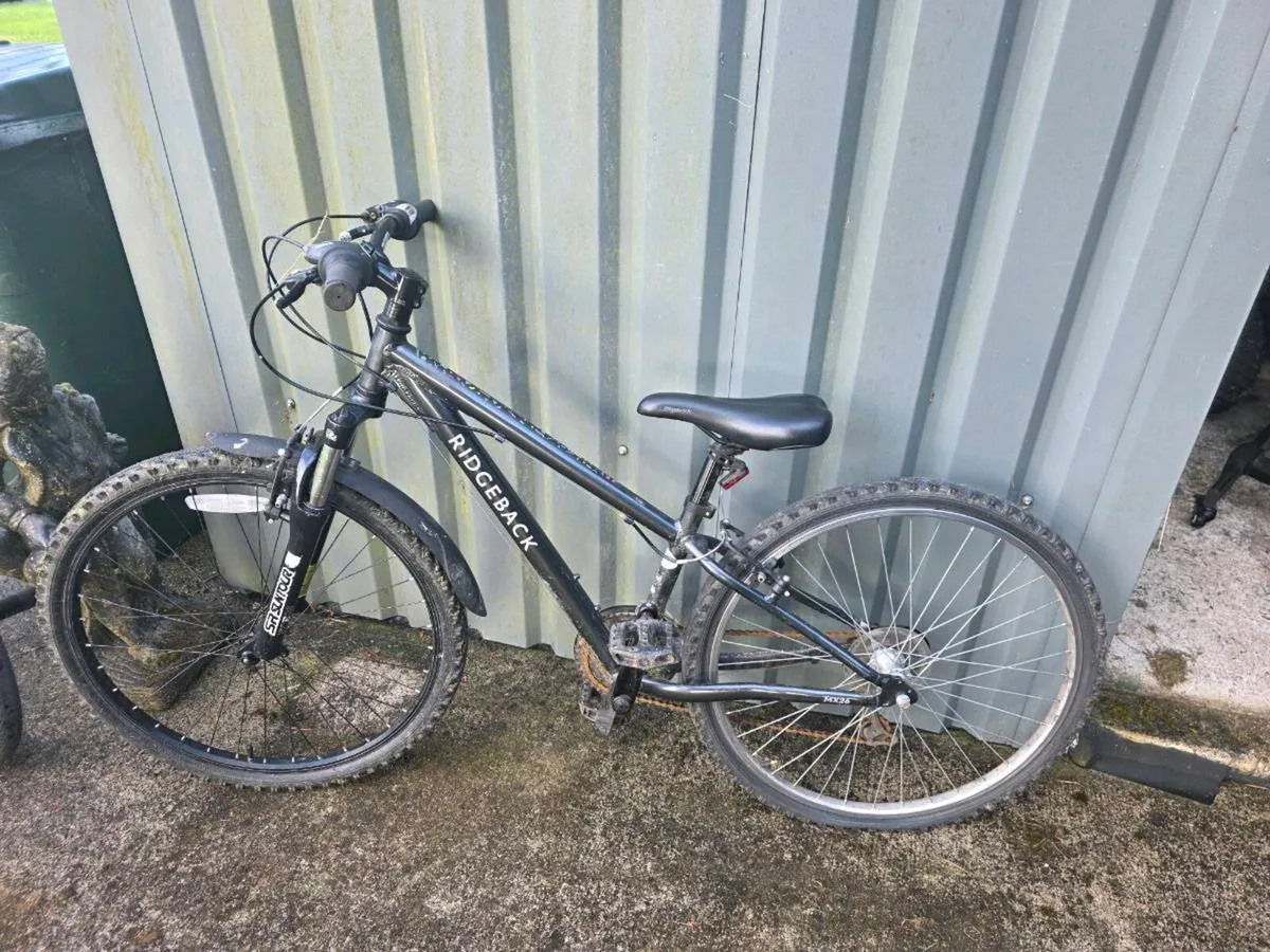 Ridgeback bike and 2 × BMX - Image 1