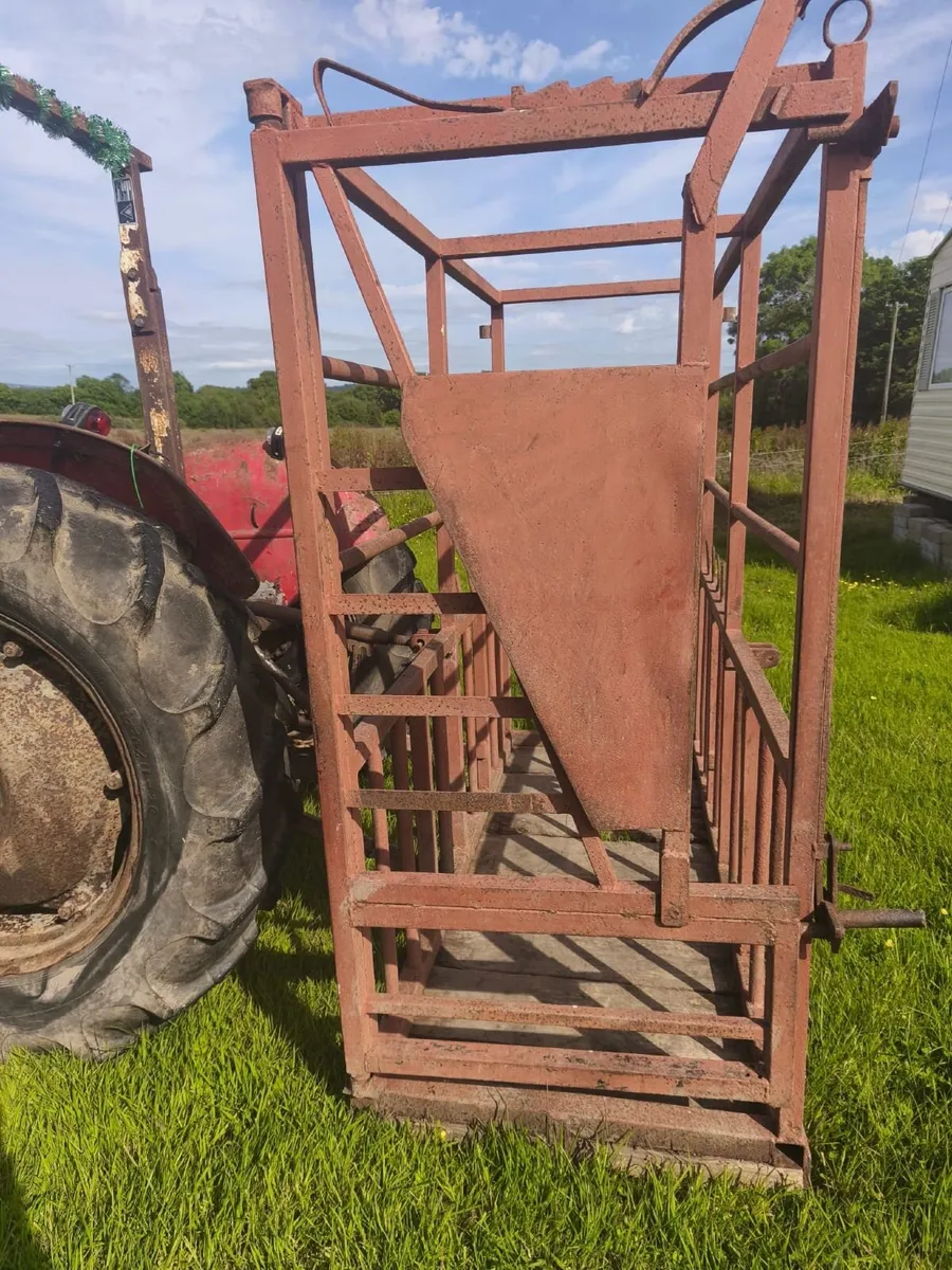 Mobile Cattle Crush - Image 3