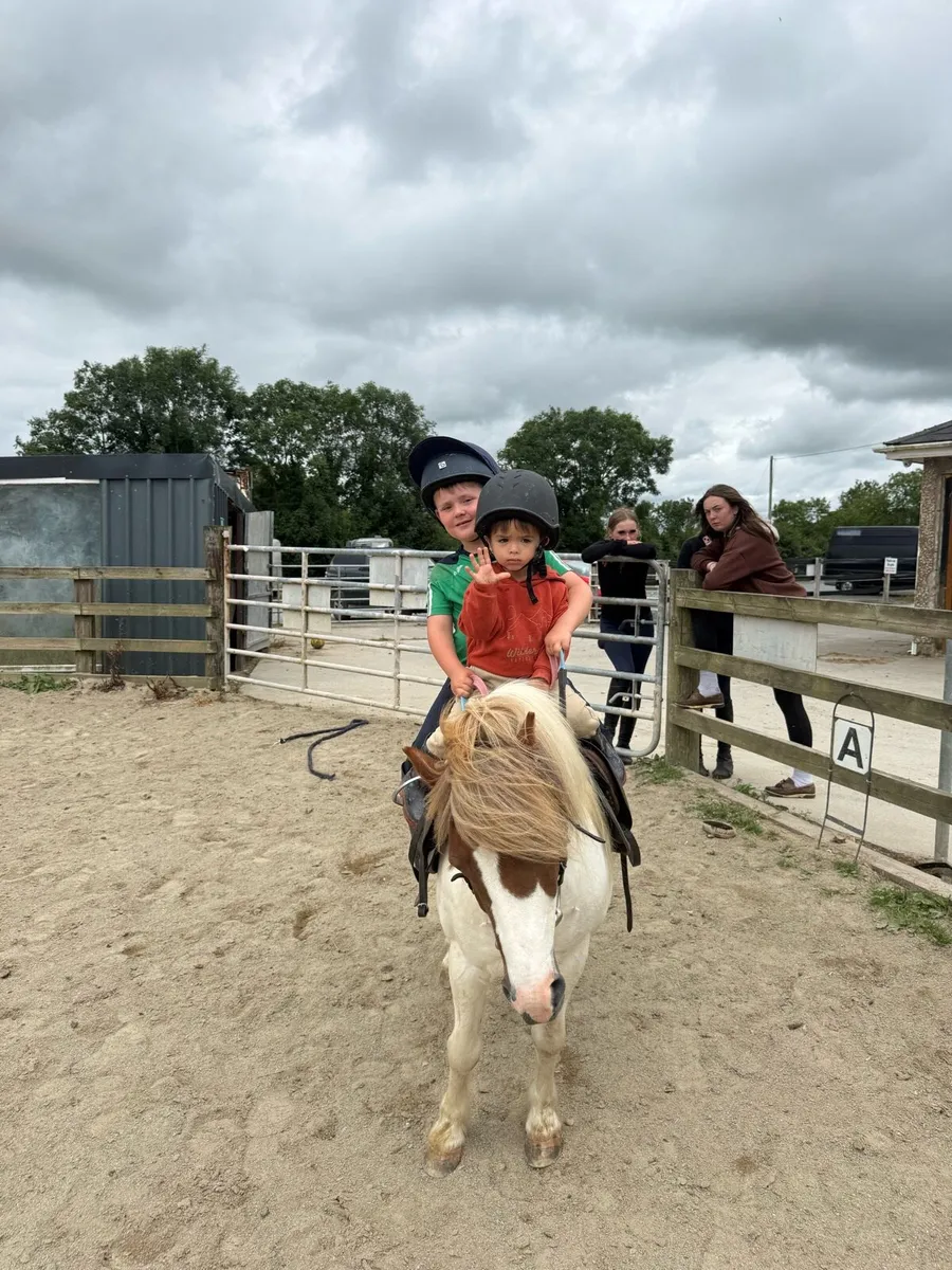 Pony - Image 1