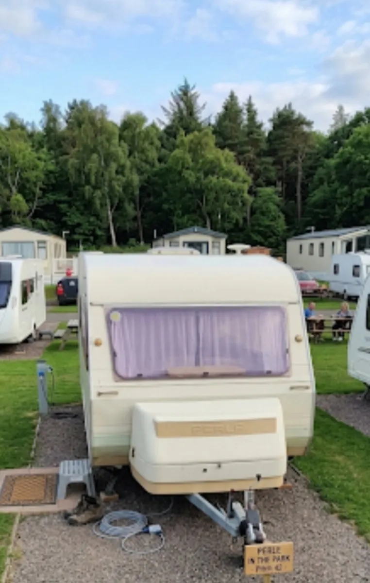 Perle Argos Caravan for sale with Awning 5 berth - Image 3