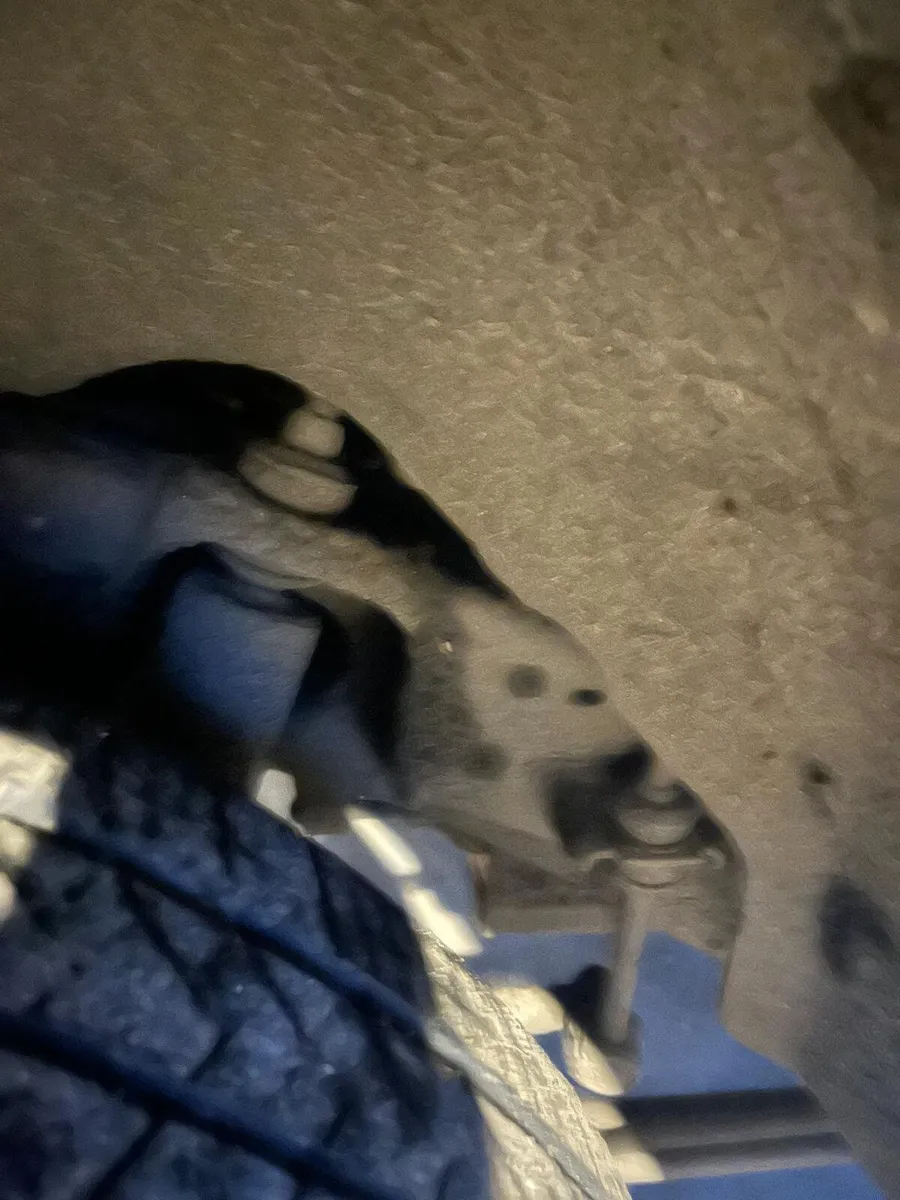 Jeep - Image 4