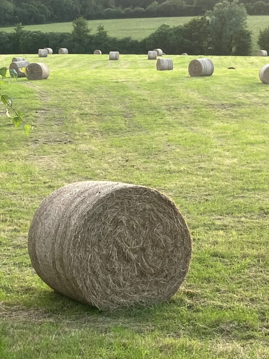 Hay 4x4 - Image 2
