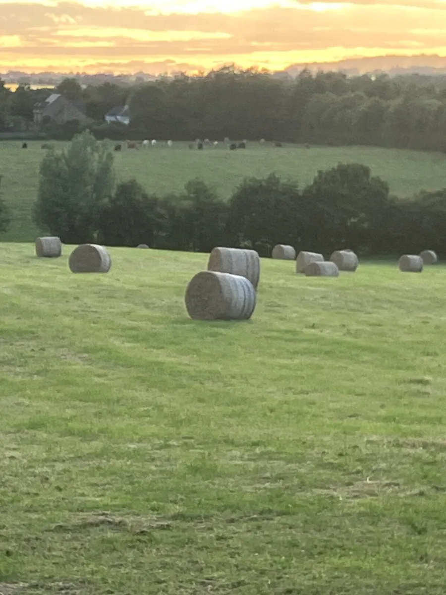 Hay 4x4 - Image 3