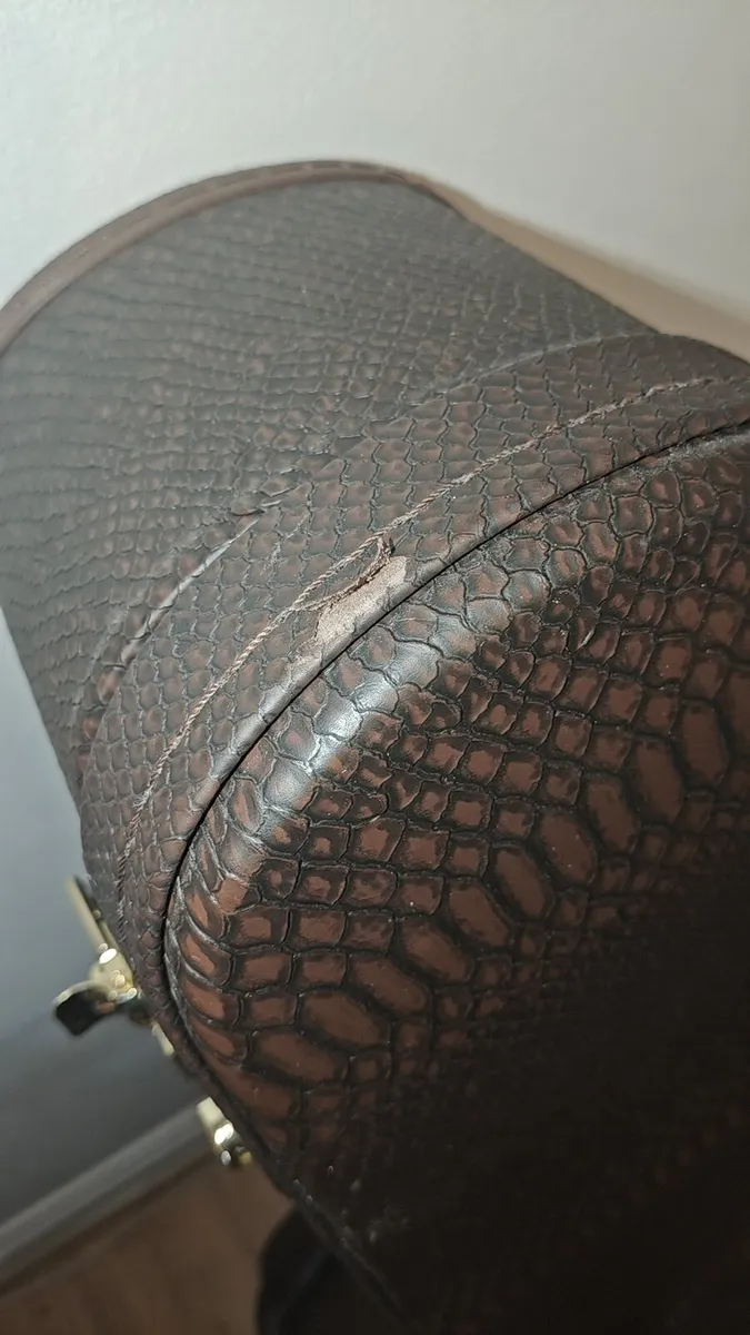 Fame Acoustic guitar case - Image 3