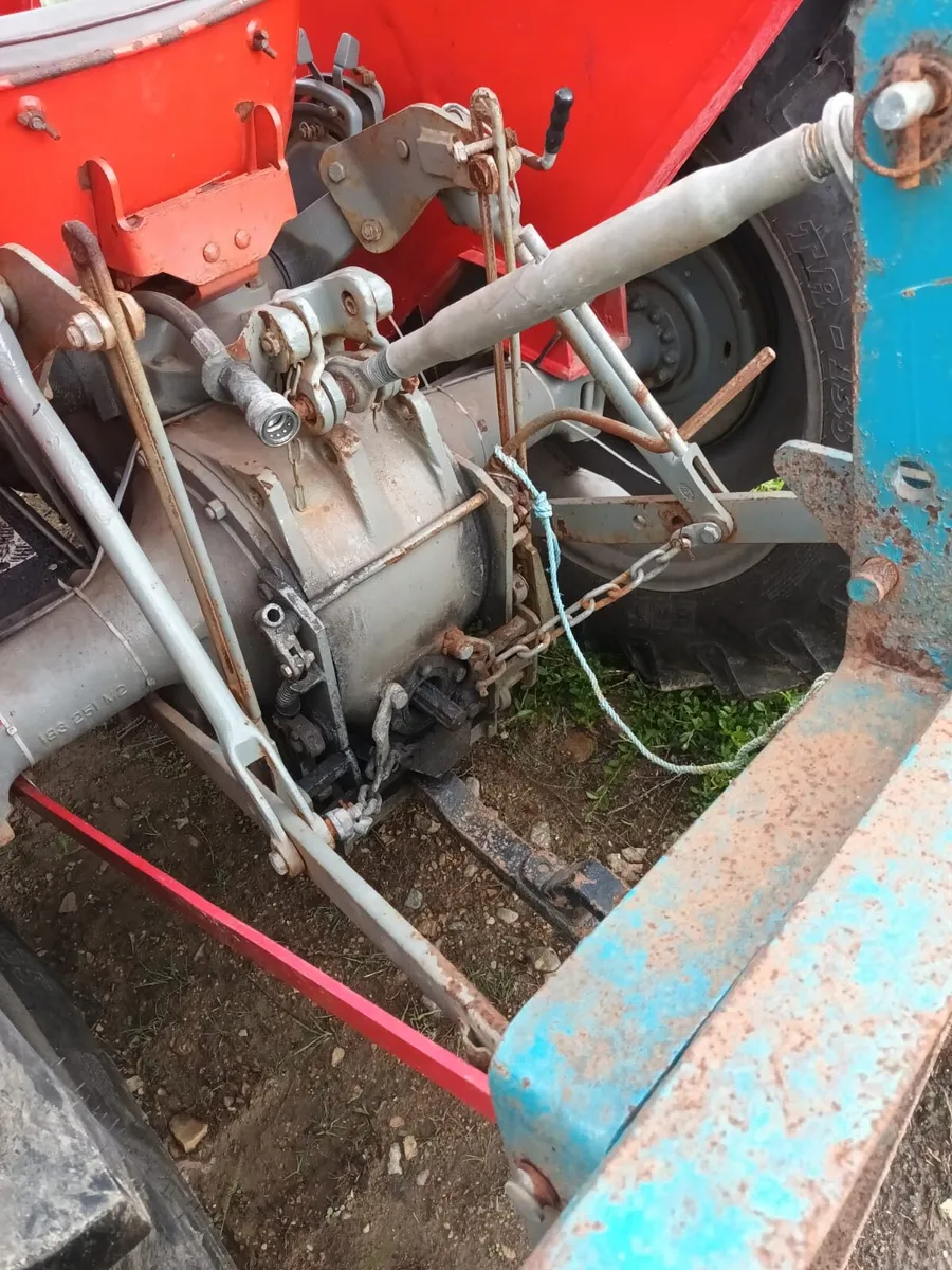 Massey 135 - Image 2