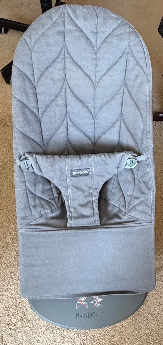 Babybjorn baby bouncer - Image 2