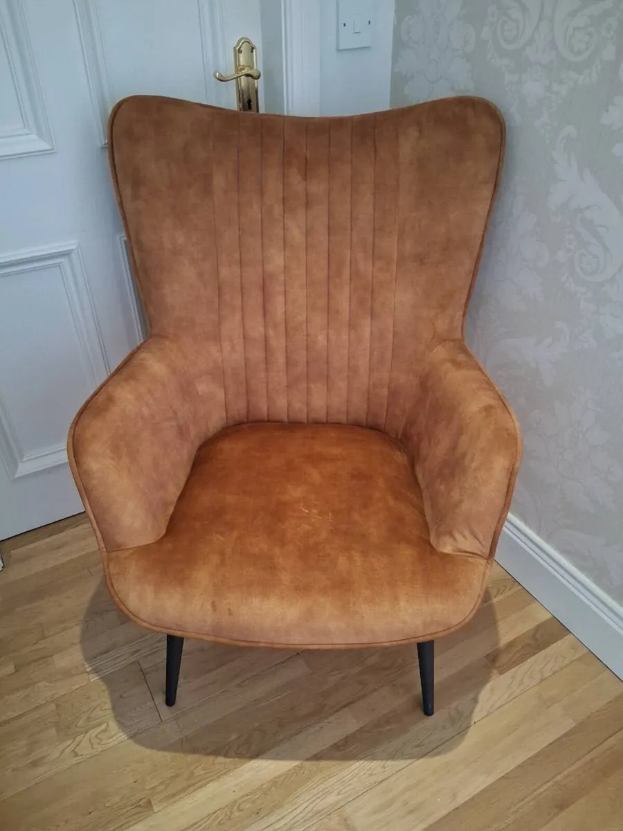 Lynn Velvet Accent Armchair - Image 1