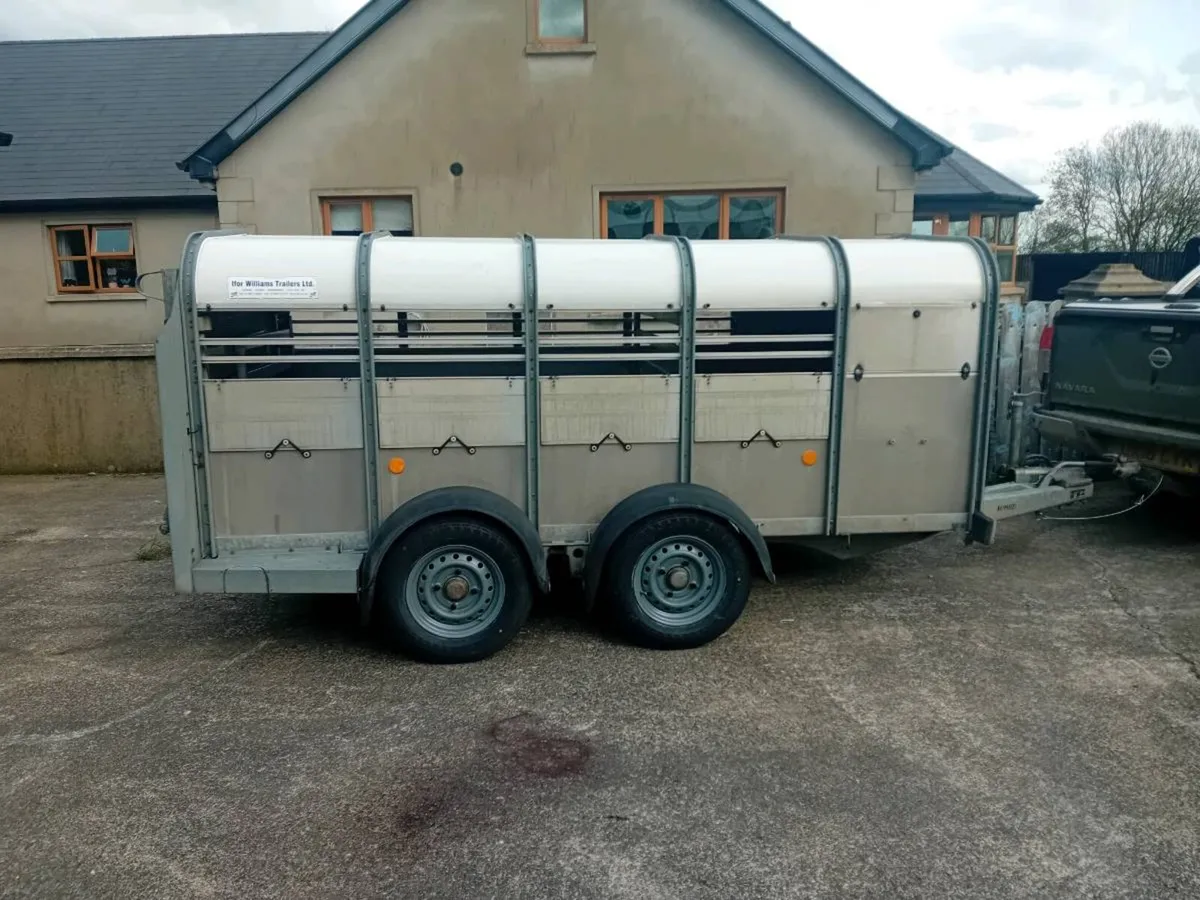 Livestock Trailer 10x 5 low roof - Image 3