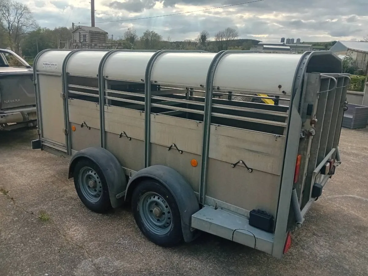 Livestock Trailer 10x 5 low roof - Image 4