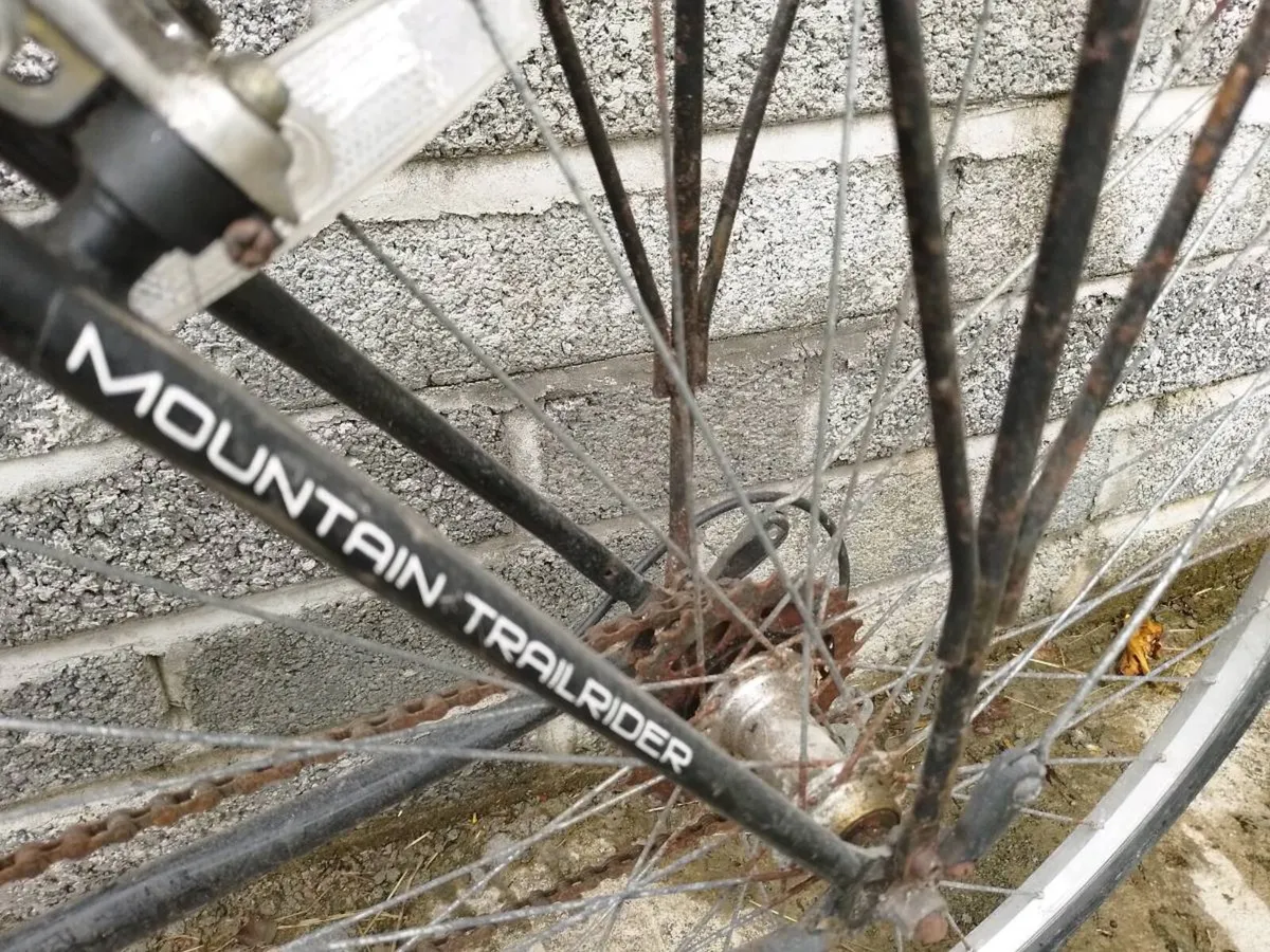 Two Bikes - Image 2