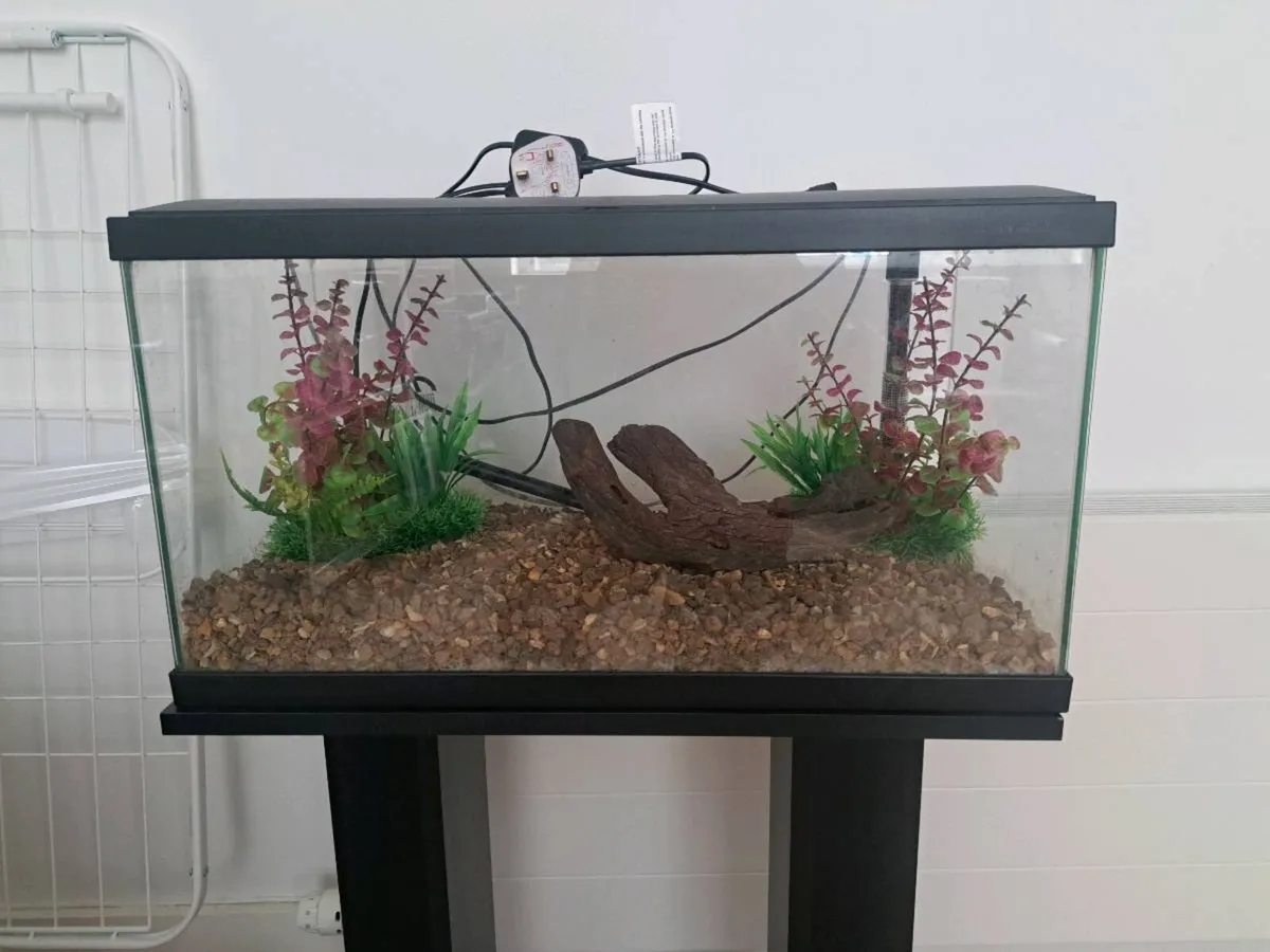 Fish Tank - Image 1