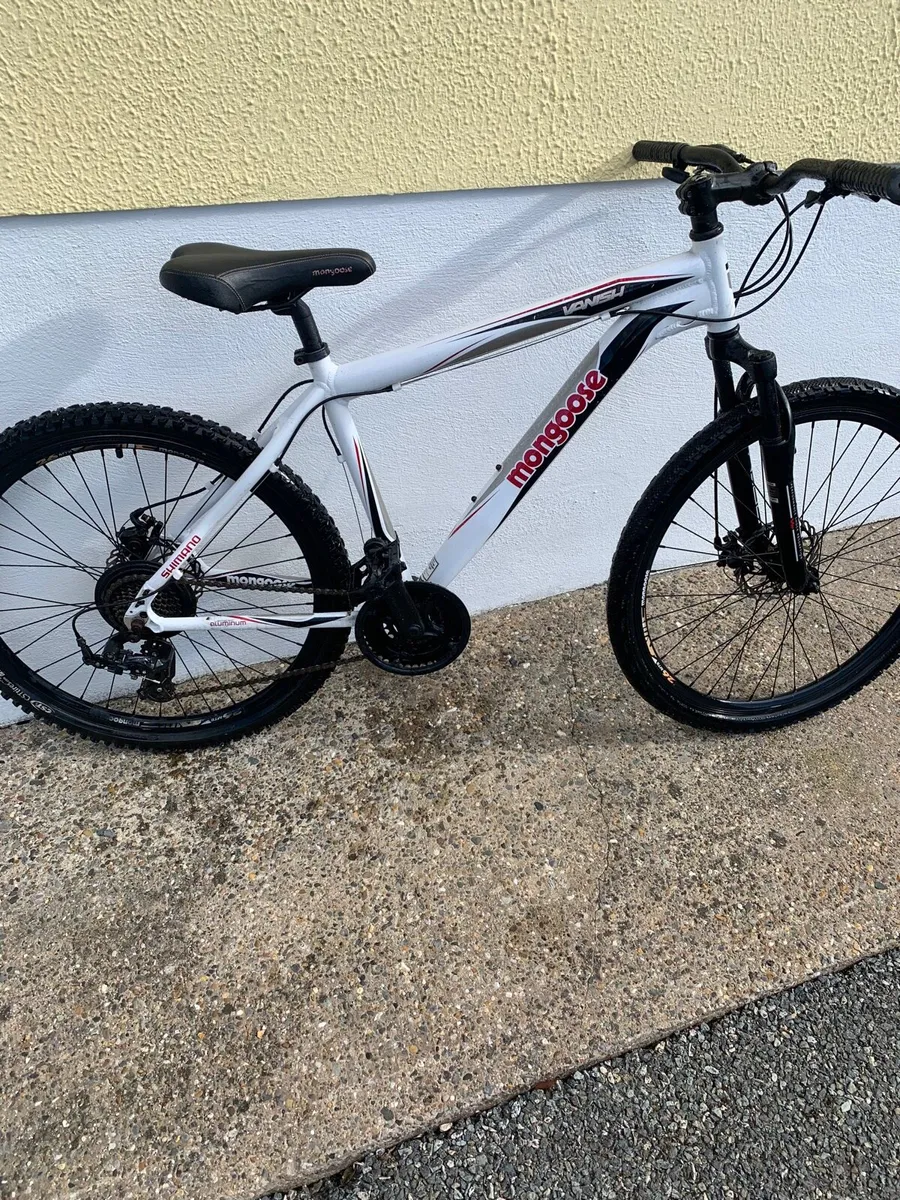 Mountain Bike - Image 1