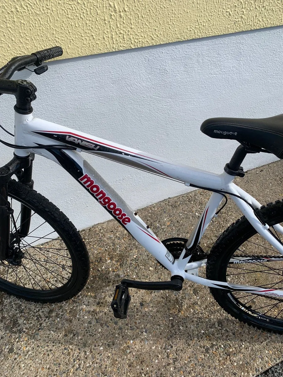 Mountain Bike - Image 4