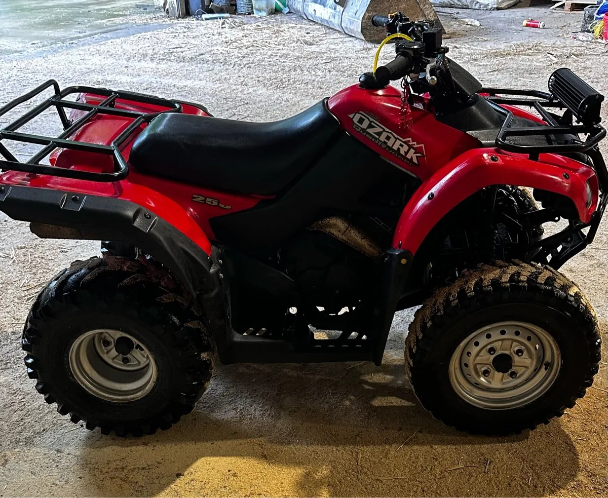 Suzuki ozark 250 - Image 4