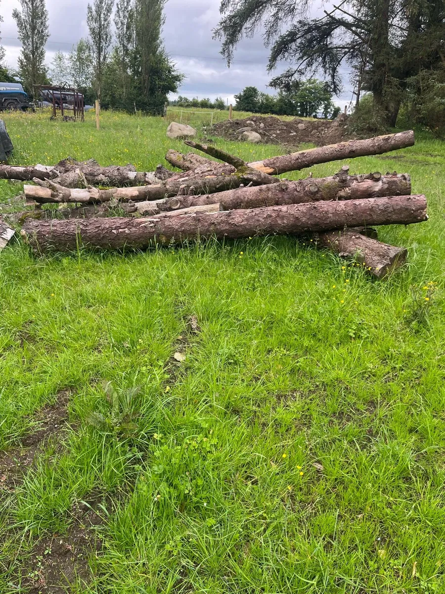 Timber