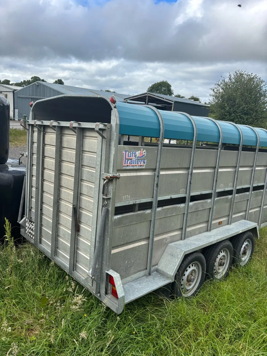 14 foot tuffmac trailer with decks - Image 4