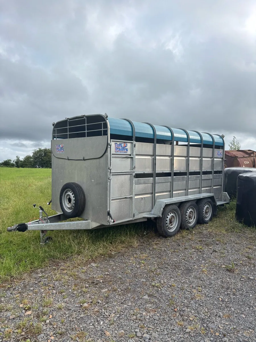 14 foot tuffmac trailer with decks - Image 1