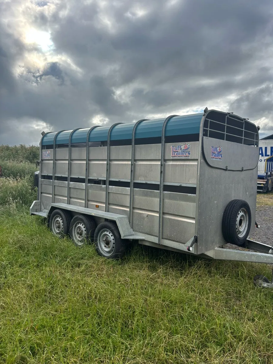 14 foot tuffmac trailer with decks - Image 2