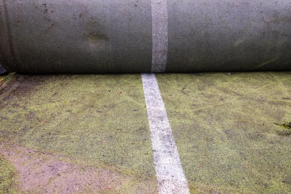 Astro Turf - Image 2