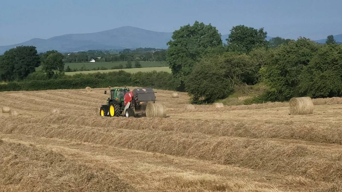 Hay for sale - Image 1