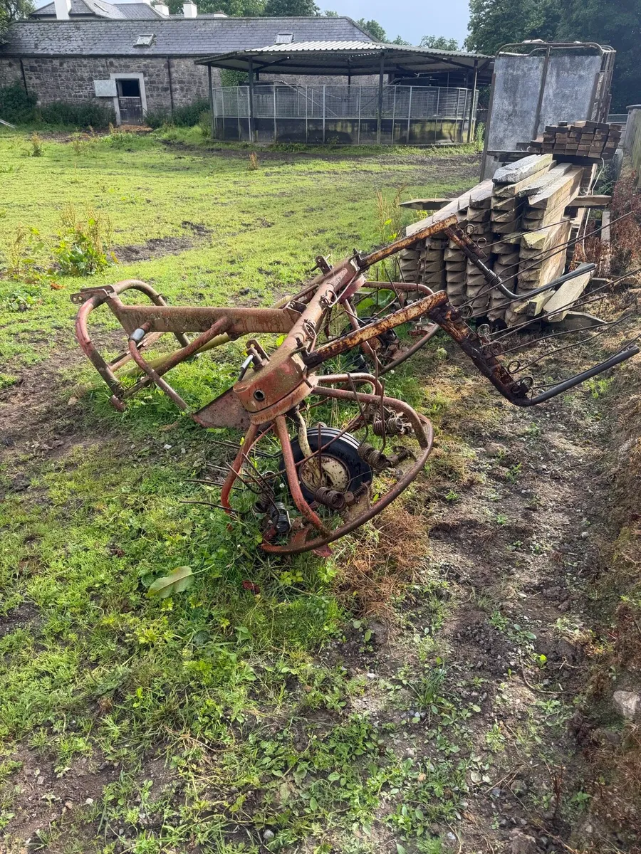 Hay Bob - Image 4