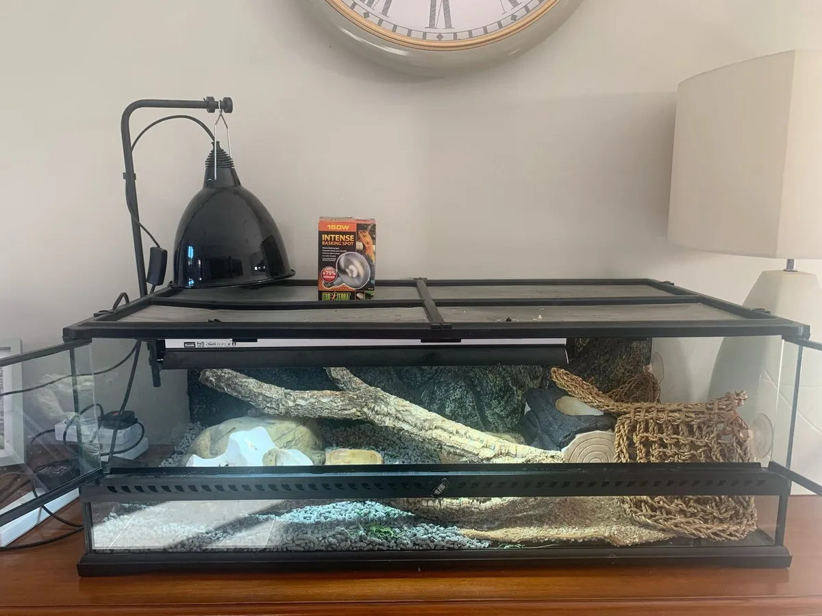 Terrarium (Exo Terra) bearded dragon set up - Image 4