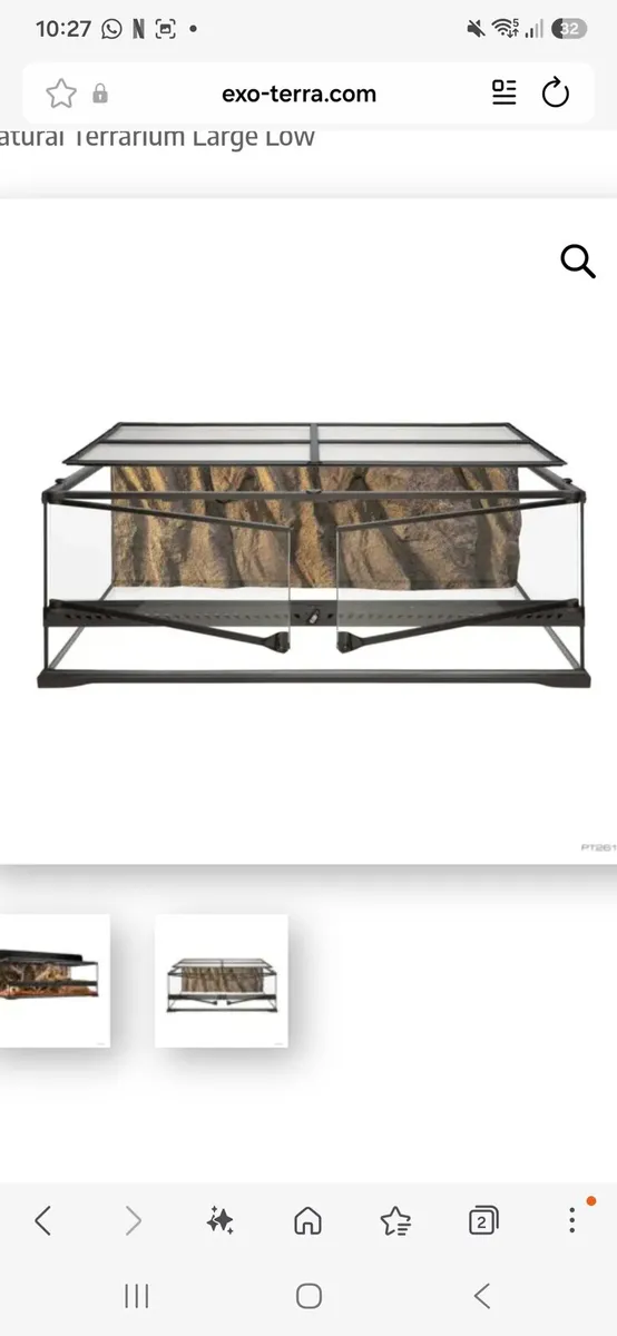 Terrarium (Exo Terra) bearded dragon set up - Image 1