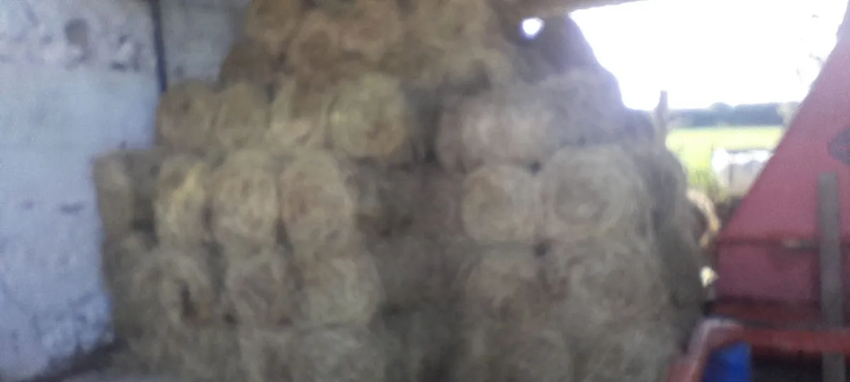 Mini round bales hay - Image 2
