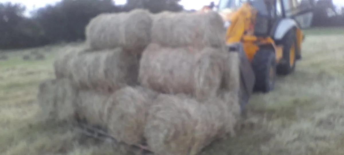 Mini round bales hay - Image 3