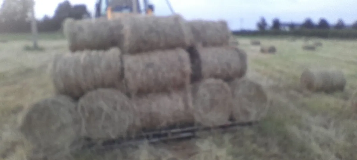 Mini round bales hay - Image 4