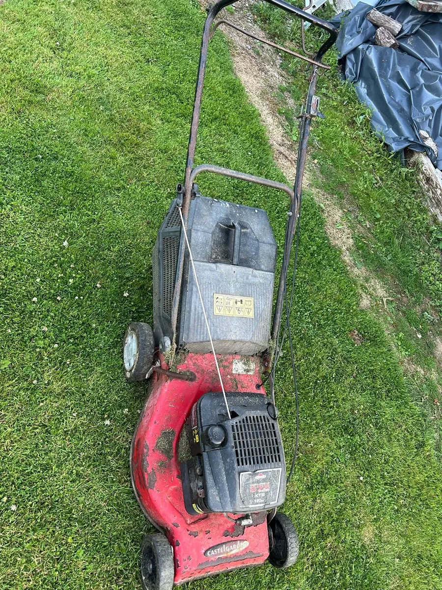 Briggs Stratton Castlegarden - Image 1