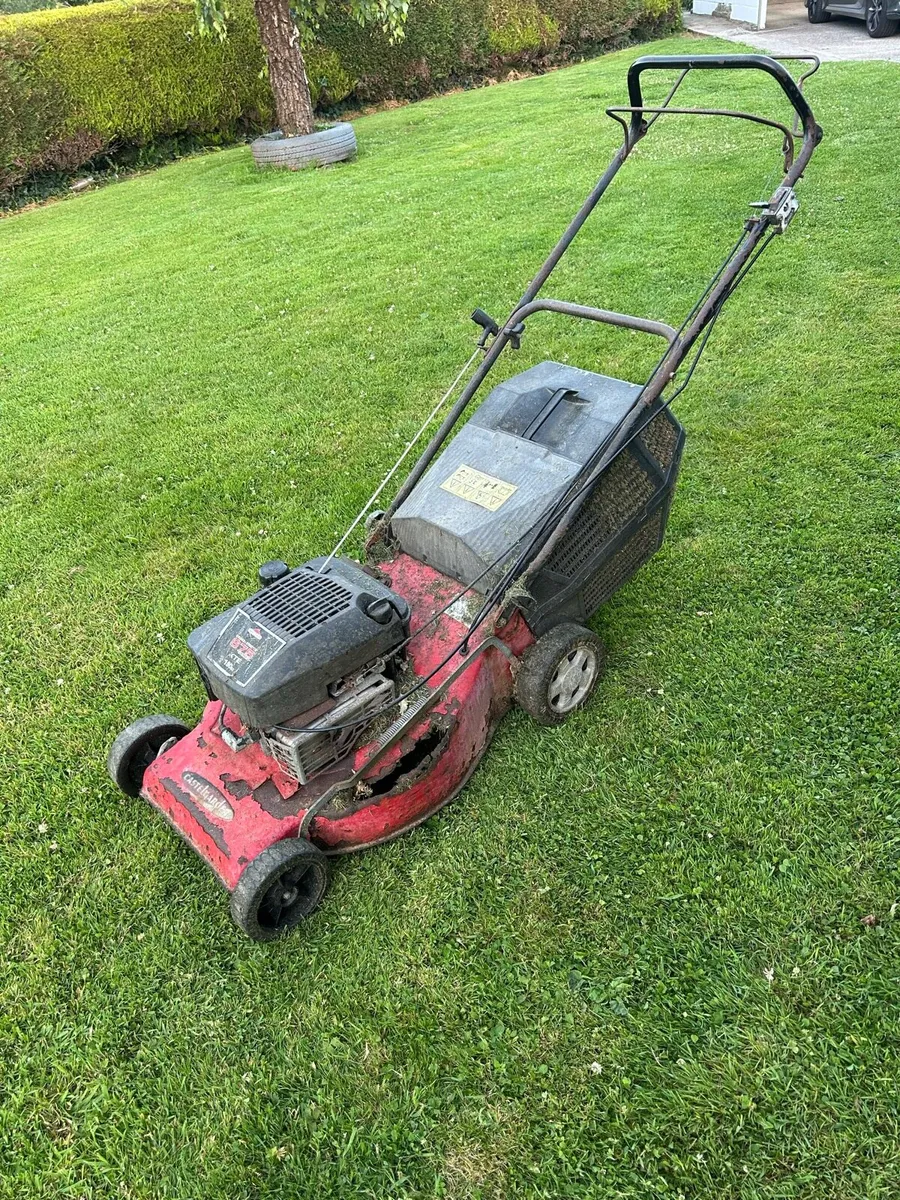 Briggs Stratton Castlegarden - Image 3