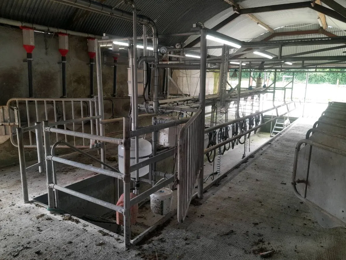 Milking machine - Image 2