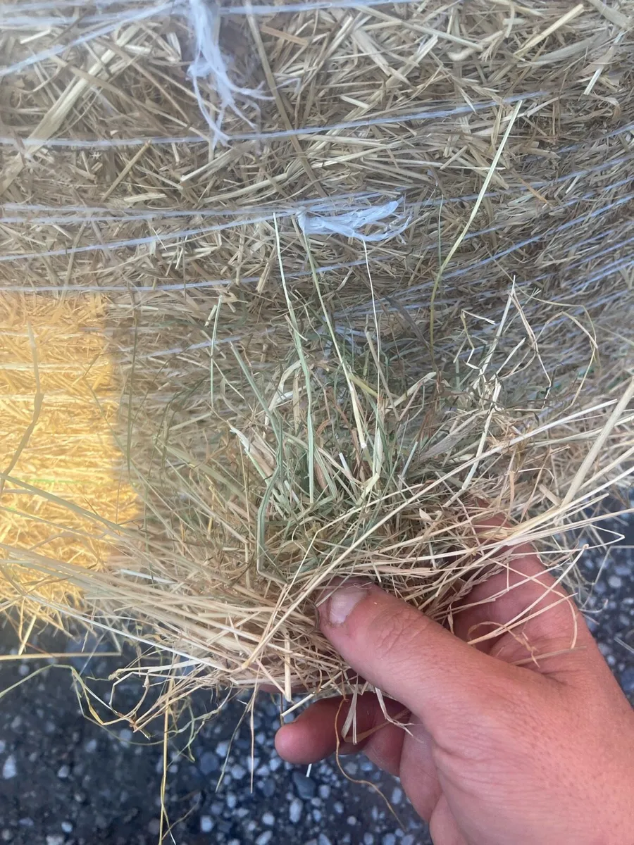 4x4 round bales of hay for all animals - Image 1