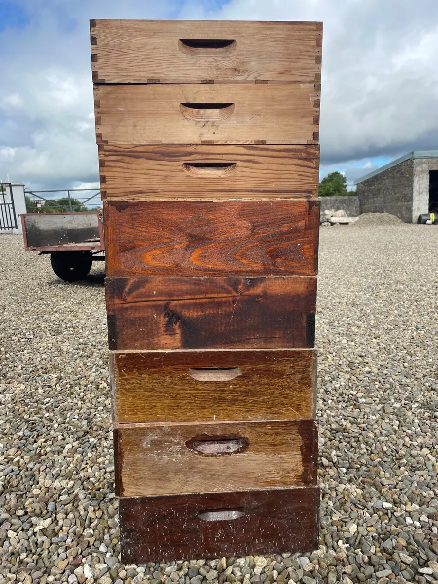 Bee hives