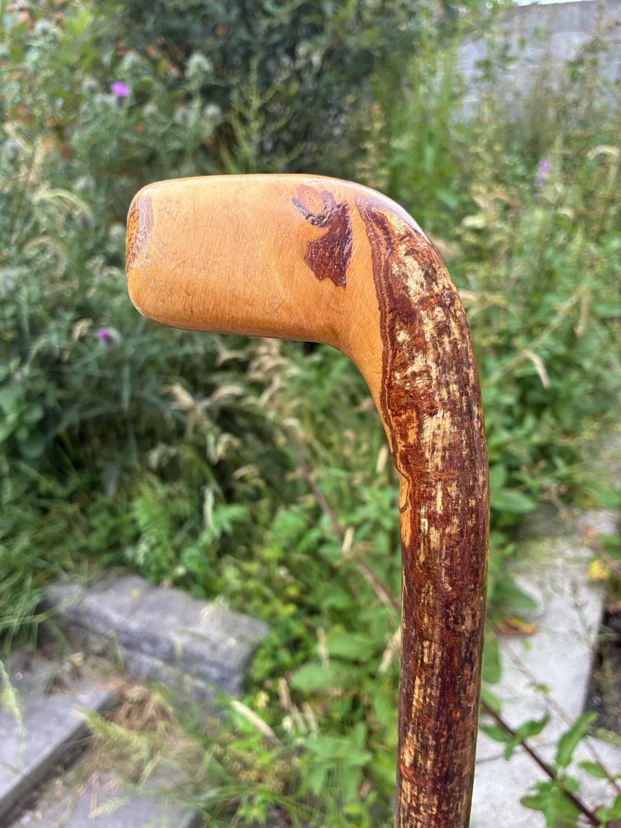 Hand crafted hazel wooden walking stick cane - Image 4