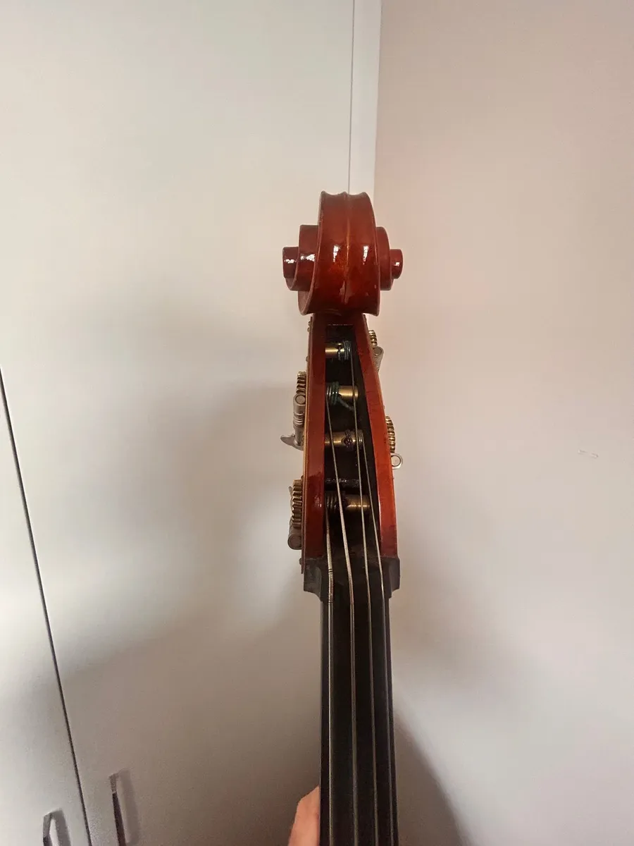 Stentor conservatoire full size double bass - Image 1